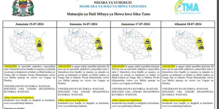 A screenshot of Tanzania Meteorological Authority summary. Photo/Courtesy