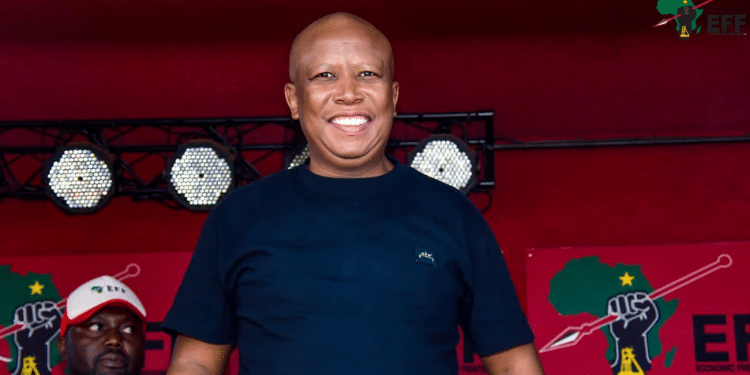 Leader of South Africa’s Economic Freedom Fighters (EFF), Julius Malema. Photo/Malema(X)