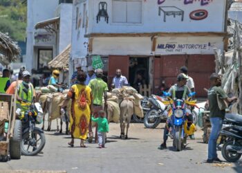 AFP | Old town of Lamu has seen an explosion in the number of noisy motorbike taxis known as "boda bodas"
