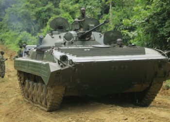 The Ugandan army launched a joint operation with DR Congo in November against the feared Allied Democratic Forces group | AFP