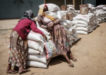 The grinding 15-month conflict between Ethiopian government forces and Tigrayan rebels has left thousands dead and, according to the United Nations, driven hundreds of thousands to the brink of starvation | AFP