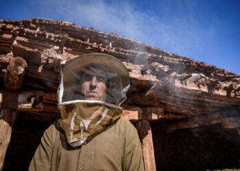 For the villagers of Inzerki, the collapse of hives is an ecological and economic disaster -- but also a crisis for their unique heritage | AFP