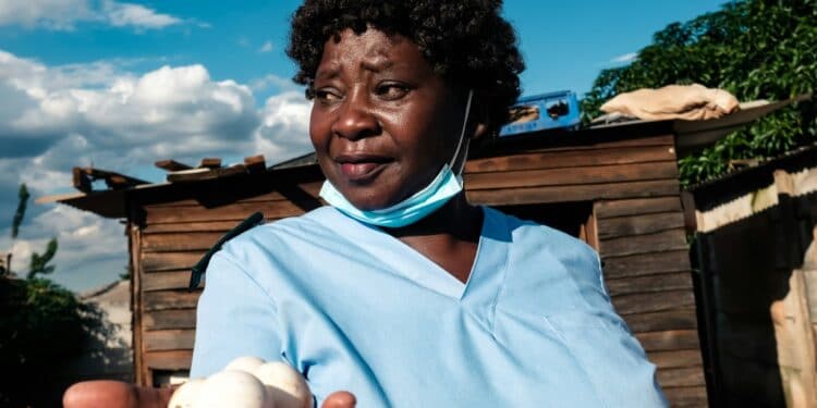 Virginia Mutsamwira is a highly skilled nurse but is so poorly paid that she raises chickens to help make ends meet | AFP