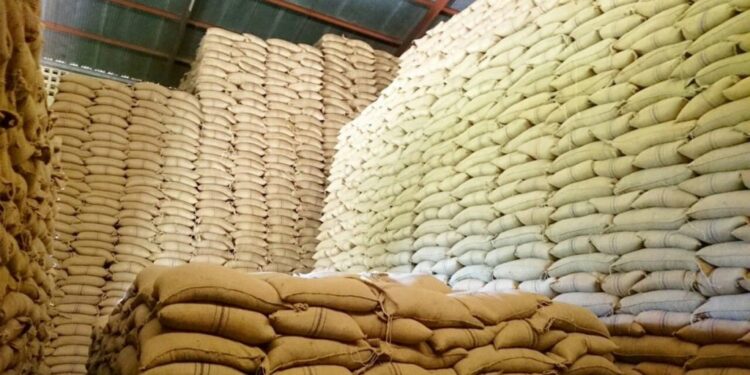 Kenyans to Import Maize