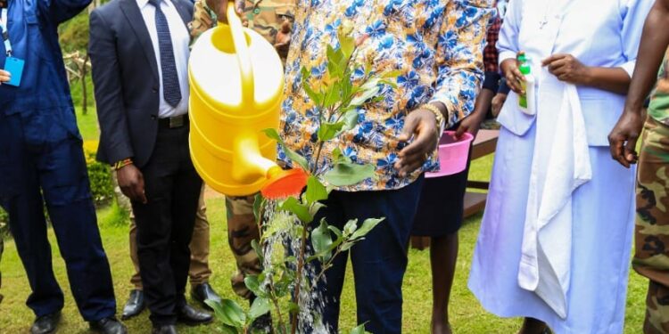 Deputy President Rigathi Gachagua plants a tree during his visit in Aldai constituency. He says Ruto's government is not interested in praises.Photo/Courtesy