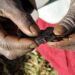 Female genital mutilation is outlawed under Kenyan laws.Photo/Courtesy