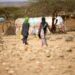 1.3 million people in Somalia have had to leave their homes because of drought.
Photo: ICRC