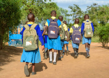 ODM Blames Ruto for Closure of Private School