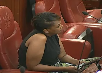 Nominated Senator Karen Nyamu in Senate
Photo Courtesy