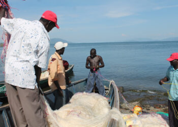 Kenyan fishermen have been decrying harassment from Uganda authorities.Photo/Courtesy