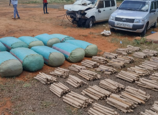 A past event. Impounded motor - vehicles alongside seized bhang at Mtito Andei police station in Makueni County on Saturday, April 16, 2022.

Photo Courtesy