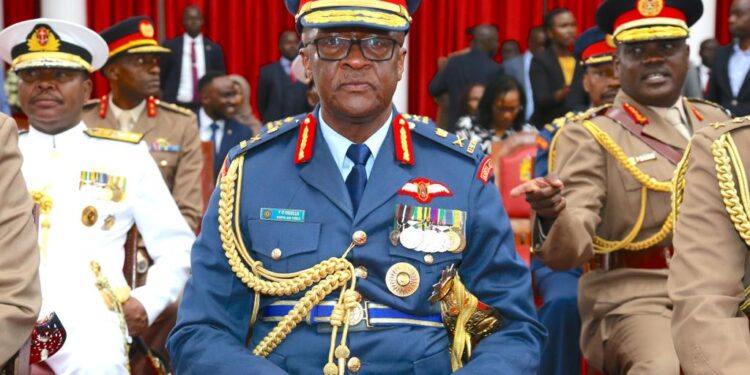 General Francis Ogolla's Life Outside the Military