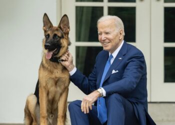 President Joe Biden's Pet Bites Secret Service Agent