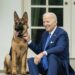 President Joe Biden's Pet Bites Secret Service Agent