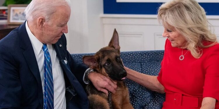 President Joe Biden's German Shepherd Bites Another Secret Service Agent