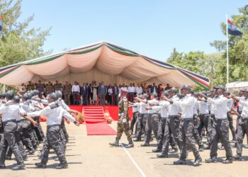 KRA Deploys Hawk-Eyed KDF Trained Officers Countrywide