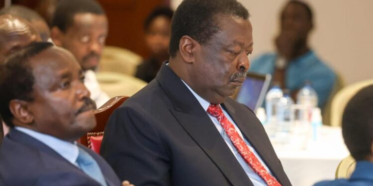 Wiper Party Leader Kalonzo Musyoka (left0 and Prime Cabinet Secretary Musalia Mudavadi attend the post election conference in Nakuru on September 27, 2023.