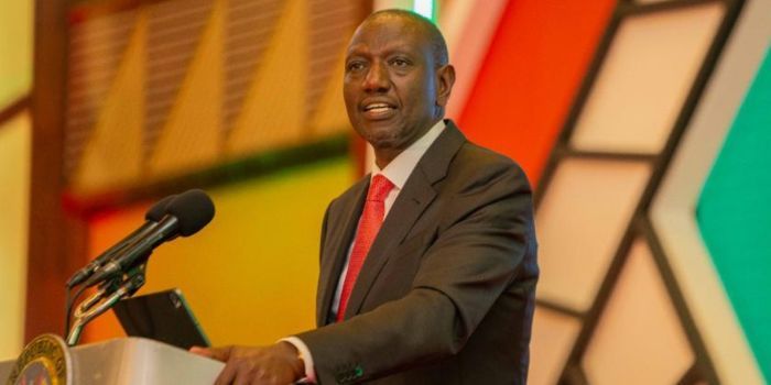 Win for Ruto as Court Allows GMO Maize in the Market