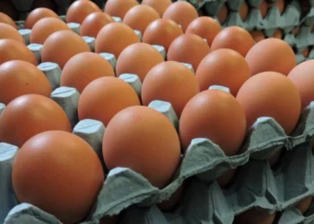 Why the Rise in Prices of Eggs has led to Food Inflation