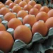 Why the Rise in Prices of Eggs has led to Food Inflation