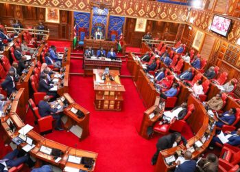 Senate will hear the impeachement motion against Mwangaza. finance bill