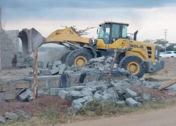 More Than 50 Houses Demolished Hours After Ruto's Order