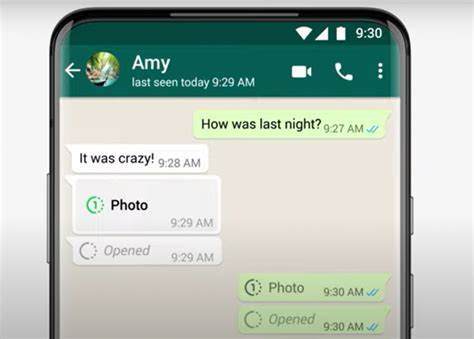 A photo of a WhatsApp showing the view once feature.