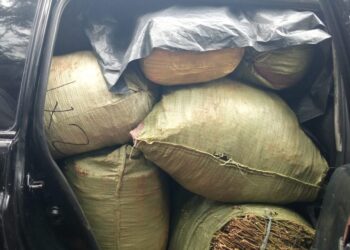 Sacks of bhang in one of the cars police nubbed in Kisii