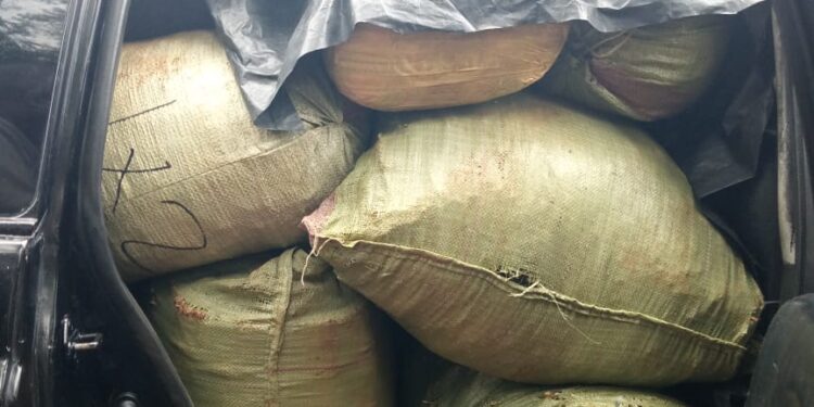 Sacks of bhang in one of the cars police nubbed in Kisii