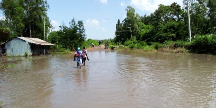Residents Panic as Voi River Bursts its Banks