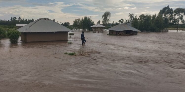Flooded village County.PHOTO/Redcross