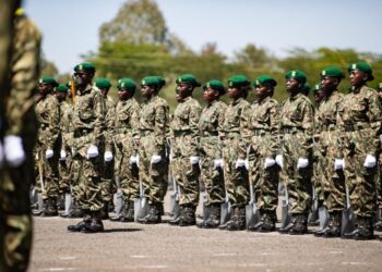 How to Apply for NYS Recruitment and Why You Should Join