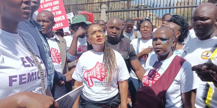 Passaris Pleads with Ruto as Femicide Protestors Corner Her