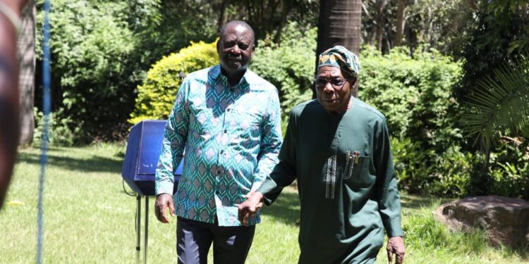 UDA Gives Stance on Raila Bid for Top African Union Job