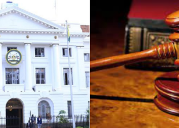 Court Gives Direction on Junior Worker's Ksh640M Wealth