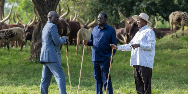 From left, Kenya's President William Ruto, Kenya's Opposition leader Raila Odinga and Uganda's President Yoweri Museveni. PHOTO/ PCS. Kuria supported his bid