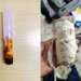A photo collage of the heroin drugs found in the student's house. PHOTO/DCI.