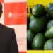 A side-toside photo of KRA Commissioner General Humphrey Wattanga and a photo of avocados.