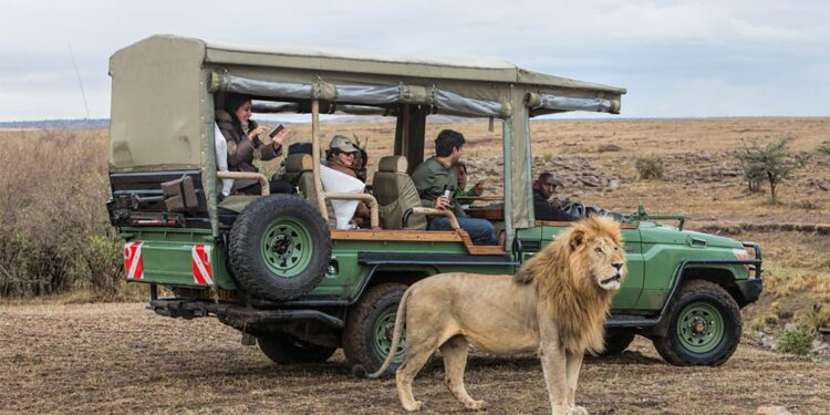 KWS Responds to Killing of Olobor Lion Inside Maasai Mara National Reserve