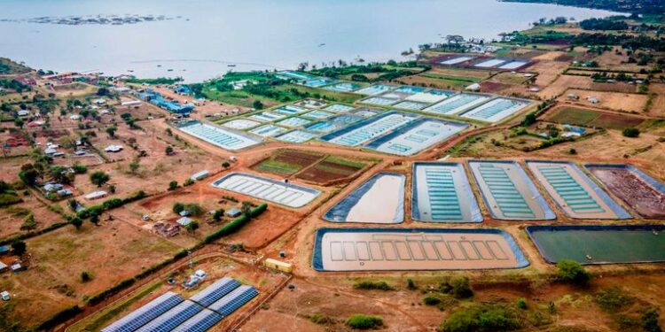 An aerial shot of Victoria Farms, an aquaculture firm in Homa Bay County