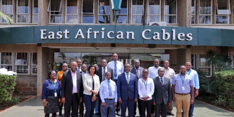 East African Cables Sells Its Subsidiary in Tanzania