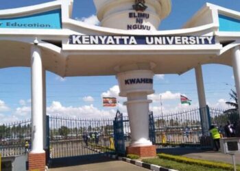 Kenyatta University Crash: Mother Shares Last Call with Son