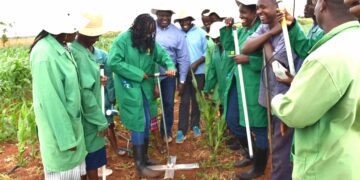 How Kenya’s Plant Breeding Stations Are Investing in Women in Science