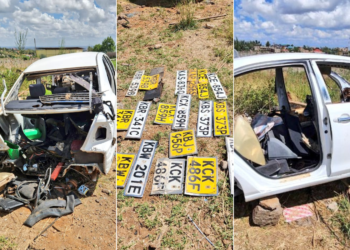 A photo collage of the recovered cars and number plates. PHOTO/DCI.