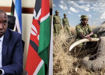 Governor Lenku Exposes Tanzania Over Elephant Killings Along Border
