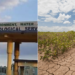 A collage of Kenta Meteorological headquarters and crops in dry cracked land. PHOTO/ Courtesy