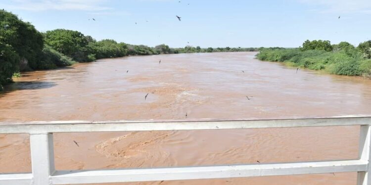 Floode Madogo area. PHOTO/ Mohamed Aboo