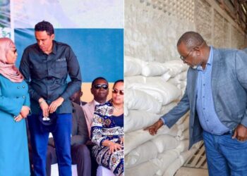 A photo collage of Tanzania's President Samia Suluhu and Agriculture Minister Hussein Bashe and a photo of Kenya's Agriculture CS Mithika Linturi.