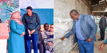 A photo collage of Tanzania's President Samia Suluhu and Agriculture Minister Hussein Bashe and a photo of Kenya's Agriculture CS Mithika Linturi.