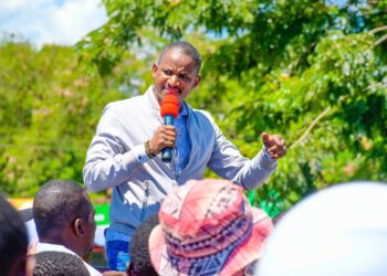 Taxes: Babu Owino Calls for Protests Against Ruto's Taxes